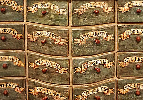 A close-up view of the painted drawers of the worktable of the Benedictine monastery apothecary. The background color is a soft moss green, with a ribbon form painted over it with the ingredient name inscribed on it in beautiful script.